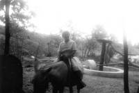 Riding a burro near the gold panning station