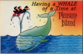 #8 Whale of a Time